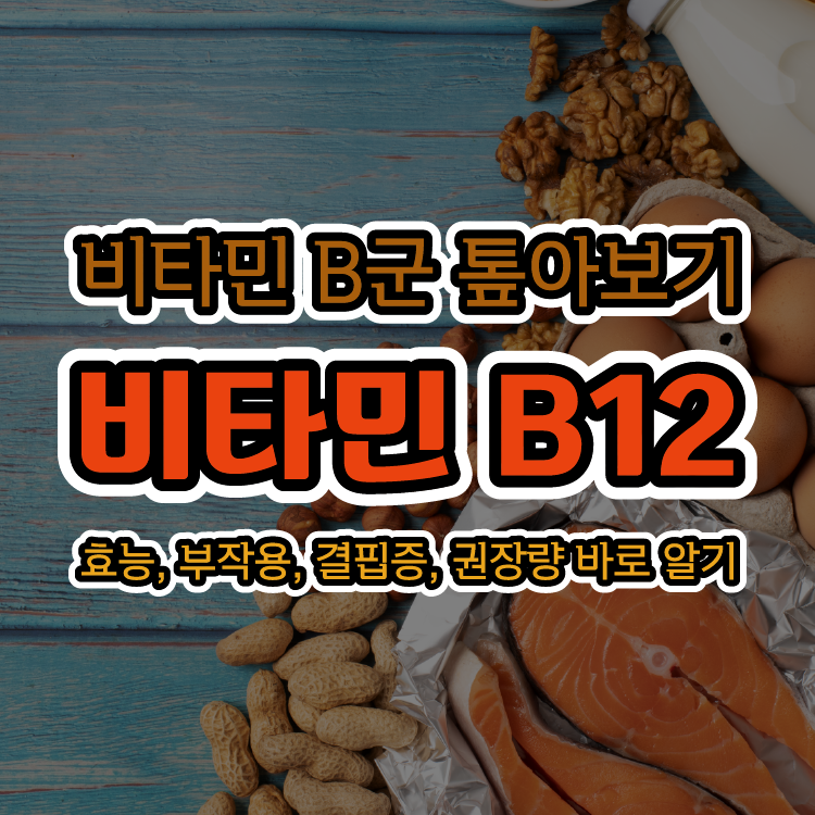 [비타민 B군 톺아보기] 비타민 B12(코발라민) - 효능, 부작용, 결핍증, 권장량 바로 알기
