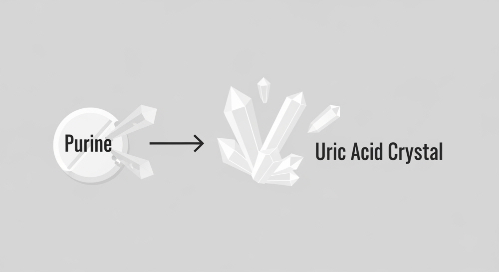 맥주효모 부작용