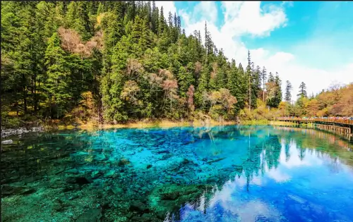 다채로운-색상을-품은-호수와-울긋불긋한-단풍이-어우러져-더욱-아름다운-구채구-오채지