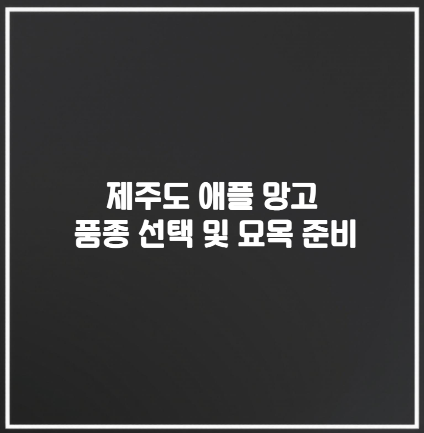 제주도 애플 망고 품종 선택 및 묘목 준비