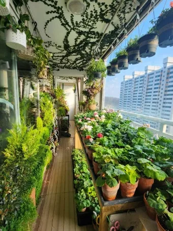 베란다정원 키우기 바람차단 햇빛차광 물주기 여름철 관리 요령_2