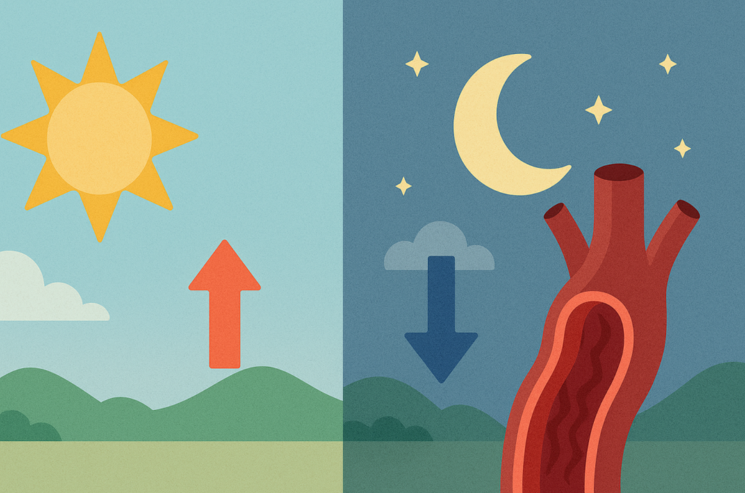 해와 달이 대비되는 배경에서 기온 변화에 따라 혈관이 수축되는 장면을 보여주는 봄철 심혈관질환 원인 설명이미지