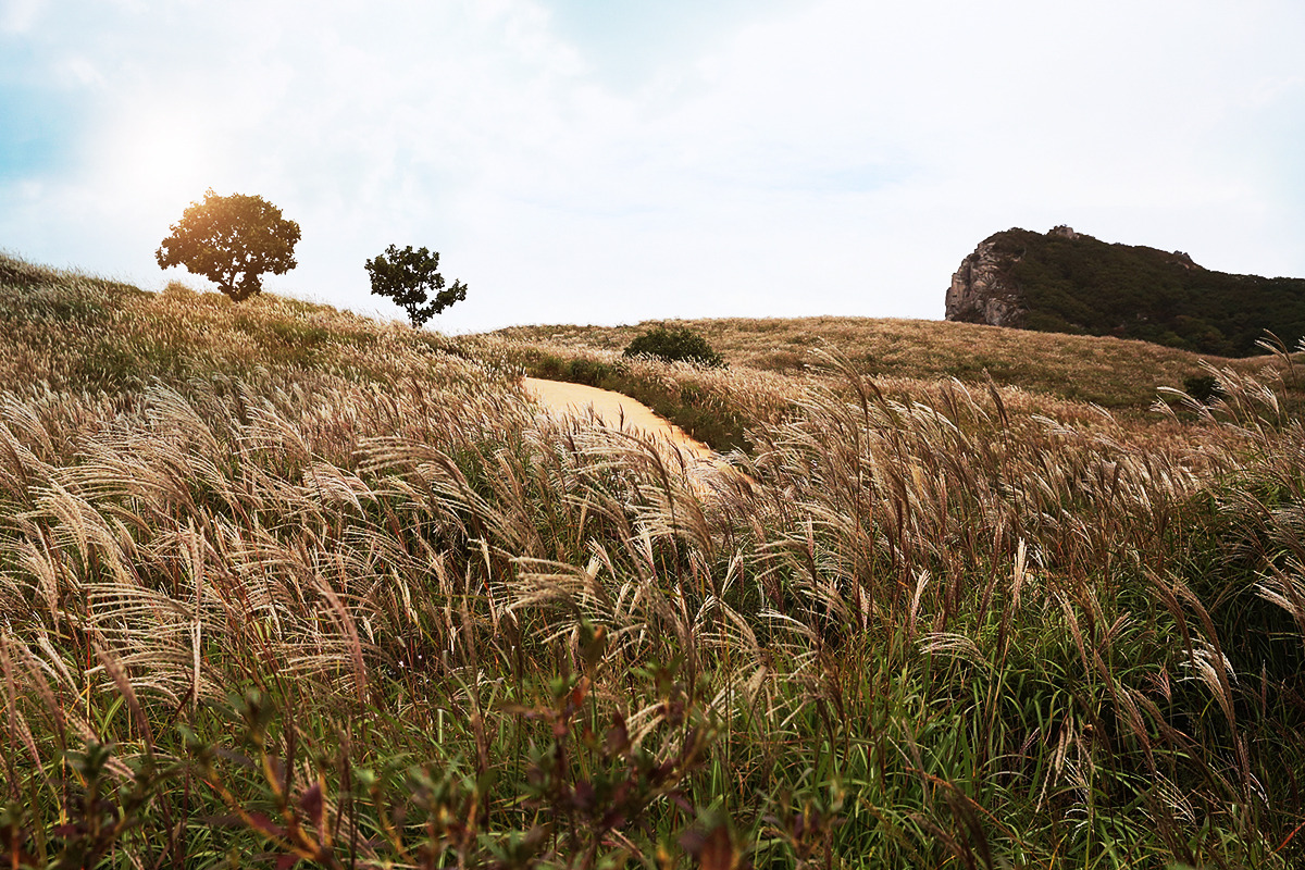 2024 황매산 억새축제