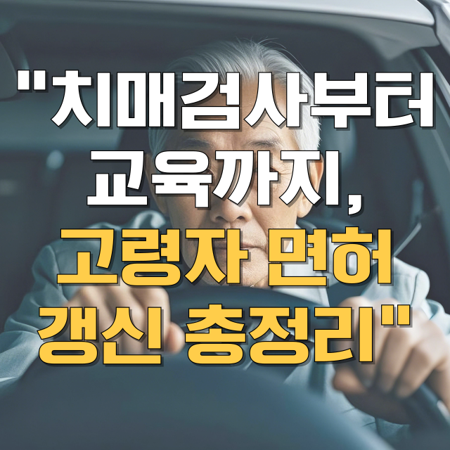 고령자 운전면허 적성검사 갱신 치매 검사 병원 총정리 블로그 글 대표 이미지