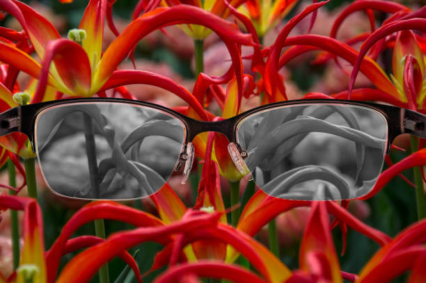 적녹색약 테스트 유전적인 질환, 더글로리 '전재준'이 이 질환으로 나와서 더 관심을 받고 있습니다. 드라마만 봐도 이 질환은 유전이 원인이 된다는 내용을 담고 있습니다. 원인과 유전적인 확률은 어떻게 되는 걸까요?