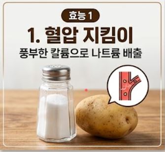 감자 효능