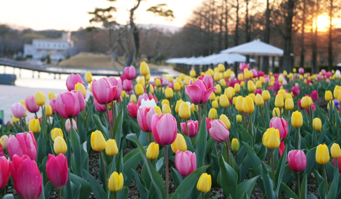 순천만 국가정원