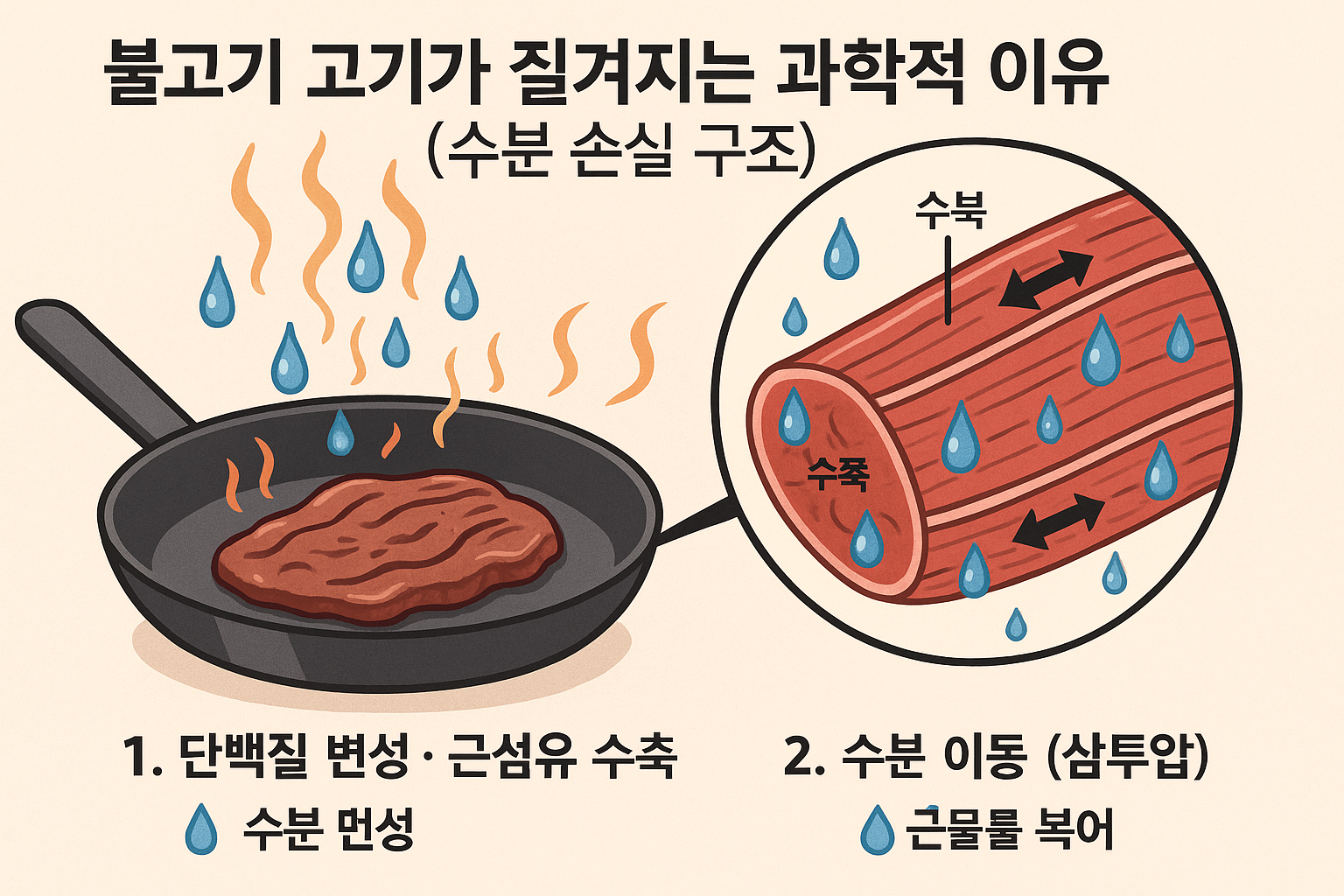 불고기 고기가 질겨지는 과학적 이유 그림