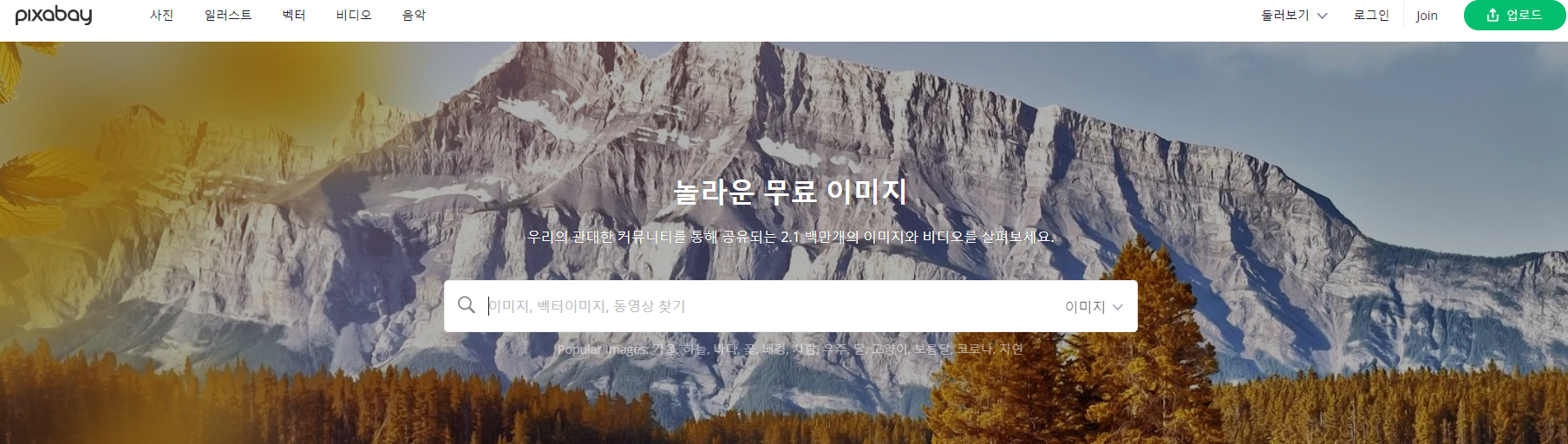 픽사베이 홈페이지 이미지