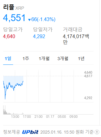 리플 소송 항소