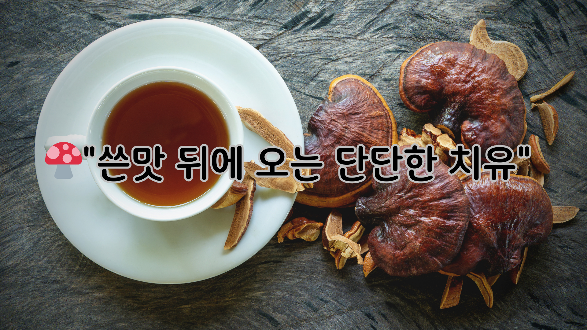 영지버섯 효능