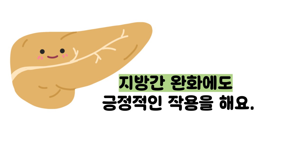 올리브오일 효능