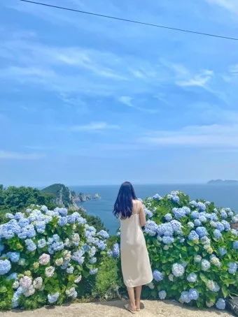 6월 국내여행 추천지 BEST 7곳 지금 떠나기 딱 좋은 완벽한 힐링 명소 총정리_22