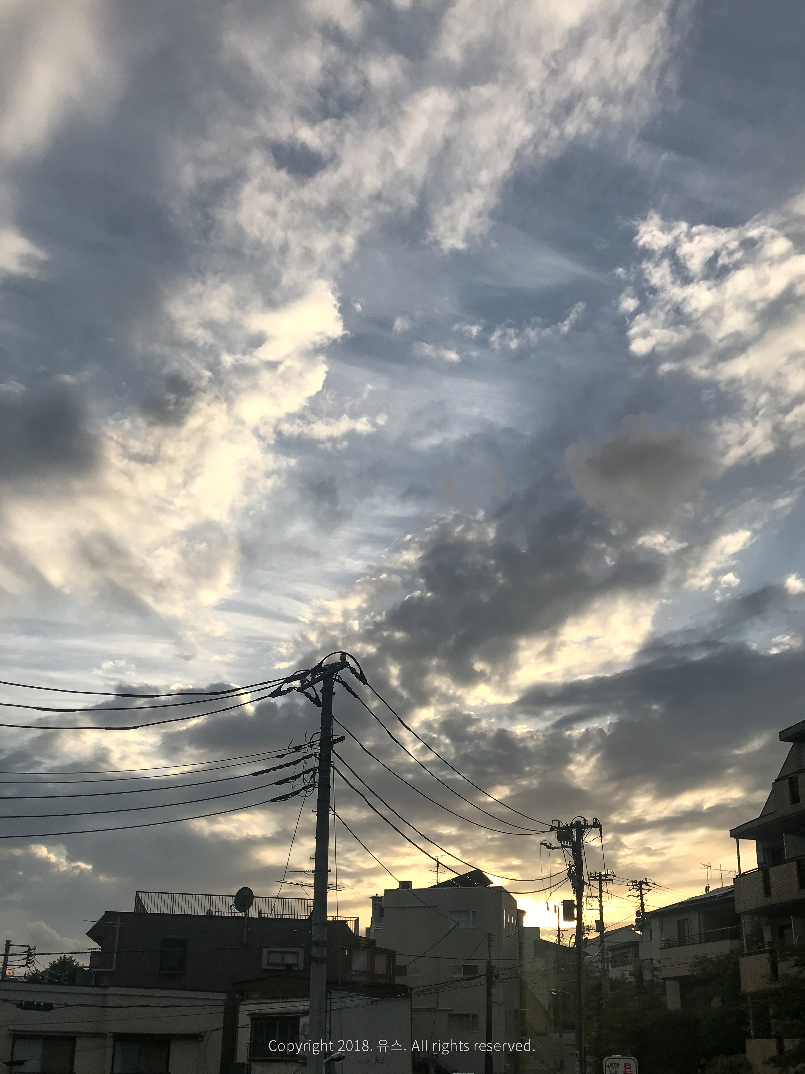 도쿄 유학