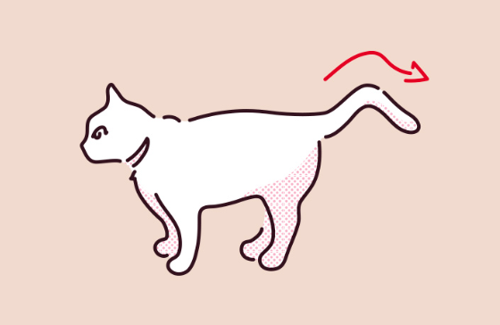 고양이가 꼬리로 산을 그리듯 흔드는 모습의 일러스트