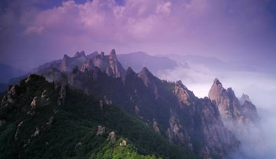 8월 국내 여행지 추천 베스트 
