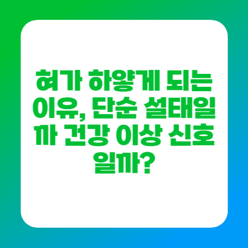 혀가 하얗게 되는 이유, 단순 설태일까 건강 이상 신호일까?