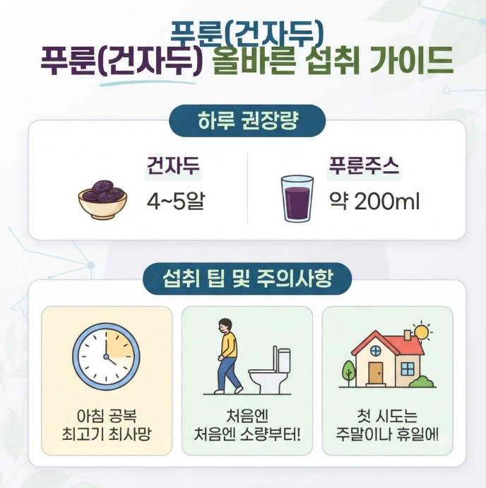 푸룬효능과 하루 권장량