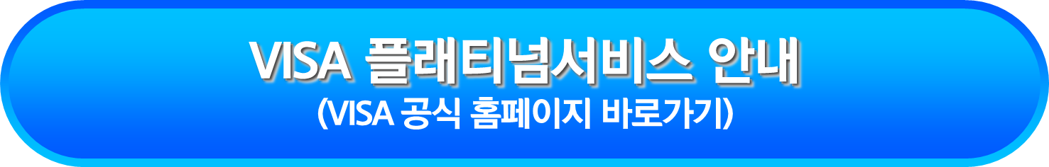VISA 플래티넘서비스 안내