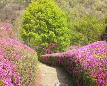 율봄식물원_19