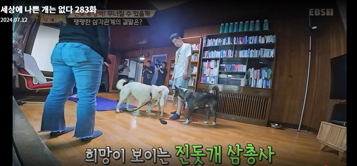 설채현-세상에나쁜개는없다-세나개-283화-진돗개장벽-재방송