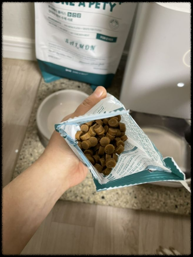 강아지 사료 선택하는 방법과 연령별 추천 사료 가이드