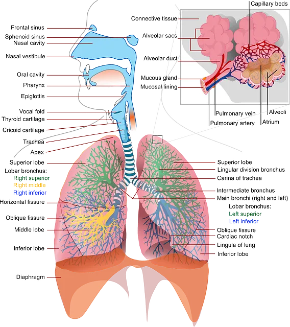  가슴이 콕콕찌르는증상