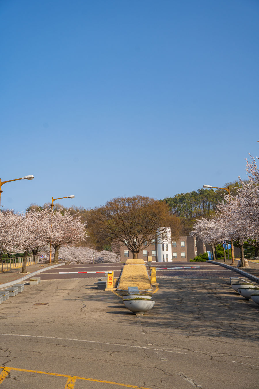 봉담 장안대학교 캠퍼스