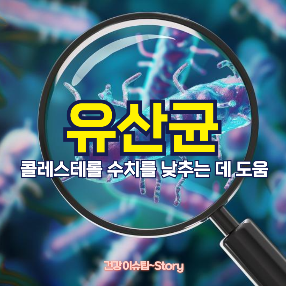 유산균을 먹으면 콜레스테롤 수치가 낮아질까?