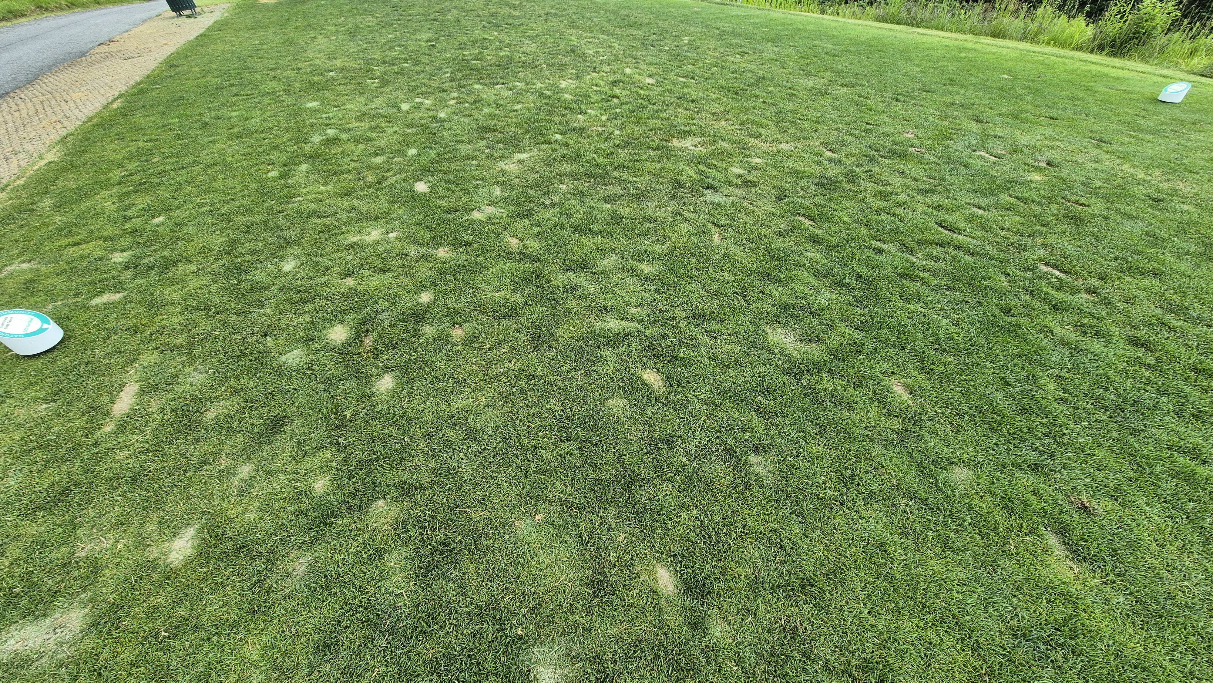 샴발라cc 라운드 후기