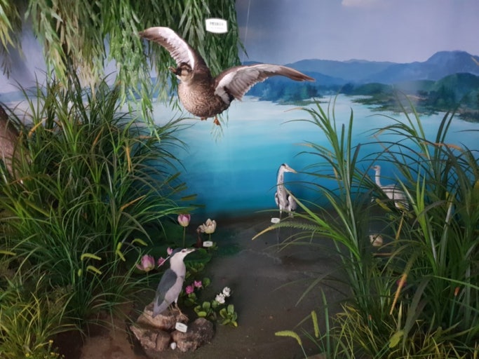 의왕 가볼만한곳 베스트10