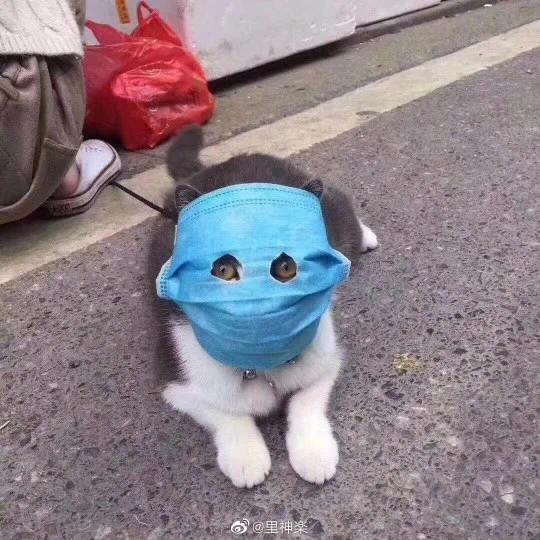 스트레스로 인한 여드름과 피부 트러블