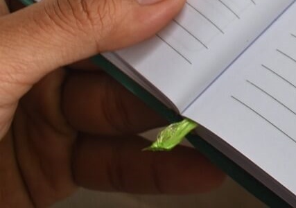 EBSi 수능특강 PDF