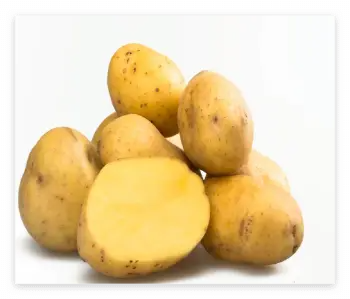 위궤양 원인 및 증상, 위궤양에 좋은 음식과 피해야 할 나쁜 음식