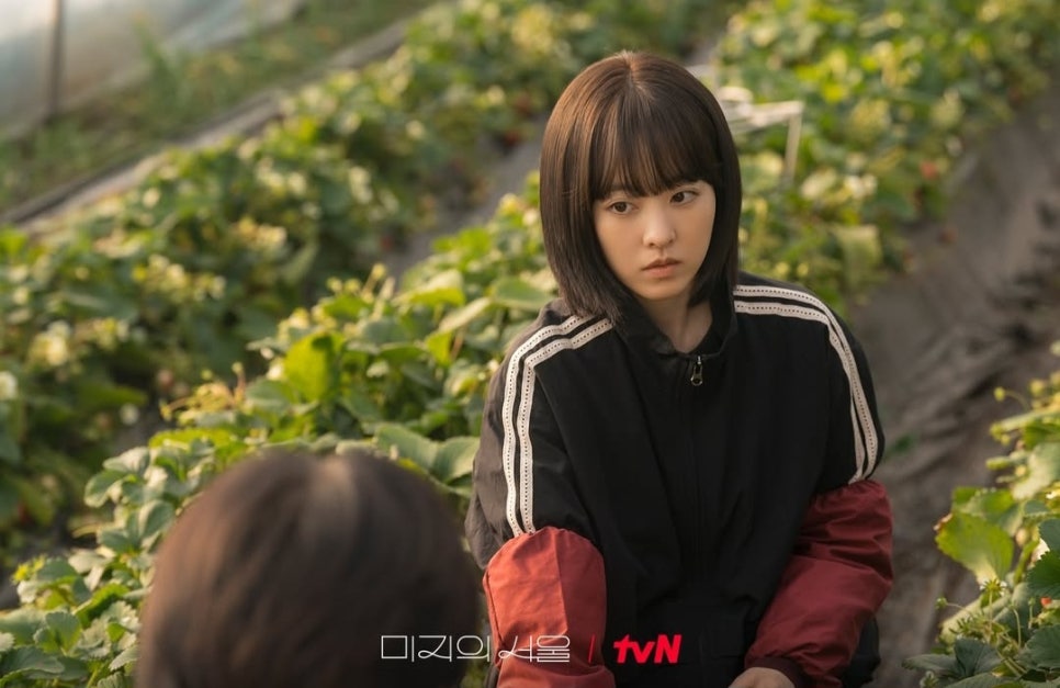 미지의 서울 등장인물 몇부작 시청률(18)