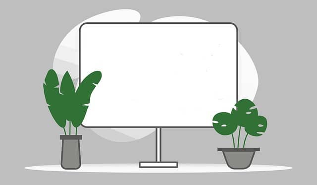 자동차 매트 청소