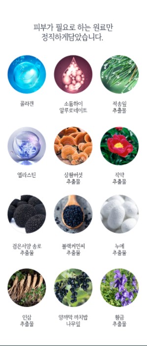 천수윤진 성분