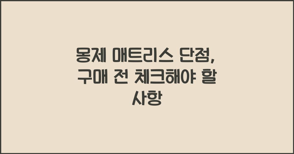 몽제 매트리스 단점