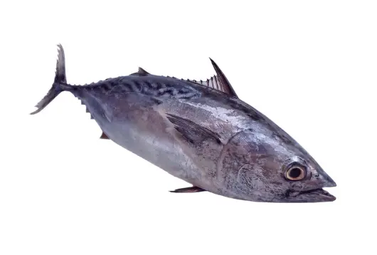 골다공증에 좋은 음식 피해야 할 나쁜 음식