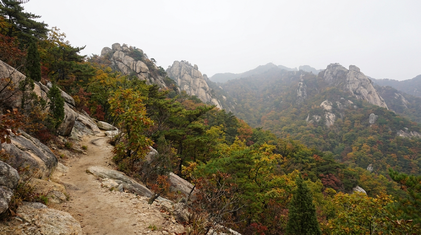 [오늘N] 화제집중 성수동 버터떡 핫플 위치&amp;관악산 명당 김밥