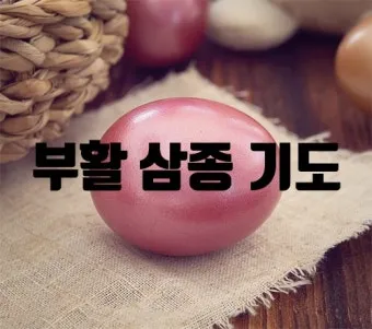 천주교 예수님 부활을 기념하는 기쁨의 부활 삼종기도_10