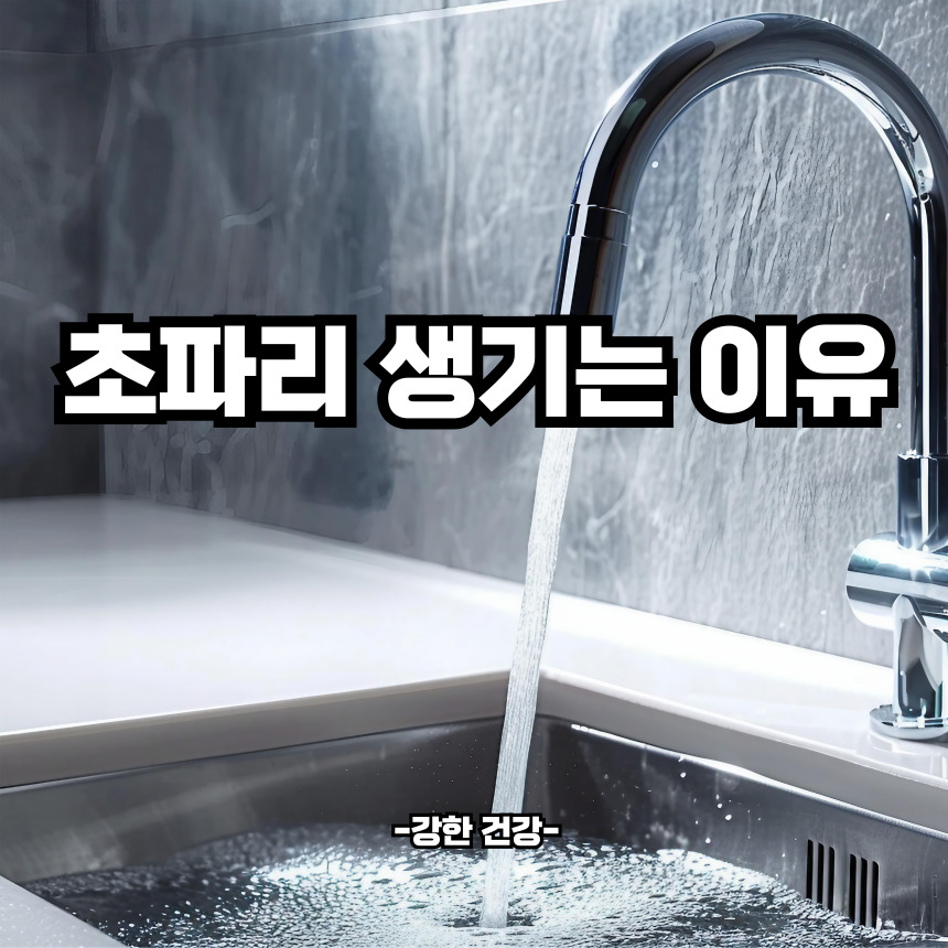 초파리 생기는 이유