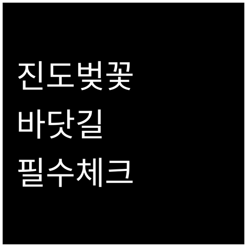 진도 벚꽃 명소 TOP 3 및 신비의..