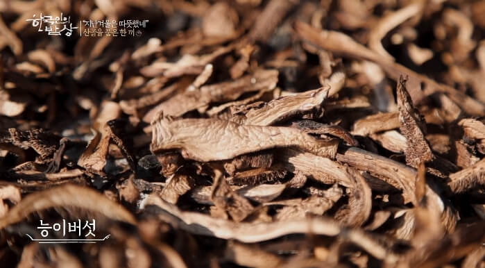 능이버섯