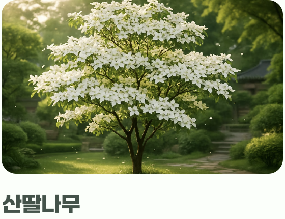 초보 텃밭러를 위한 더 나은 대안