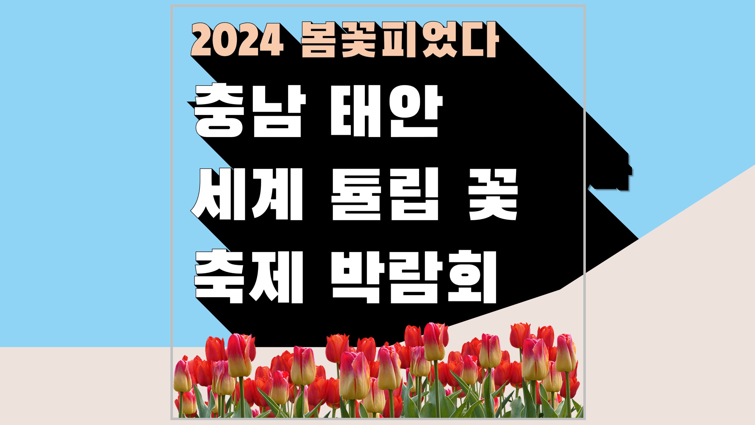태안튤립축제 기간 장소 입장료 할인 주차장 맛집 방포항길