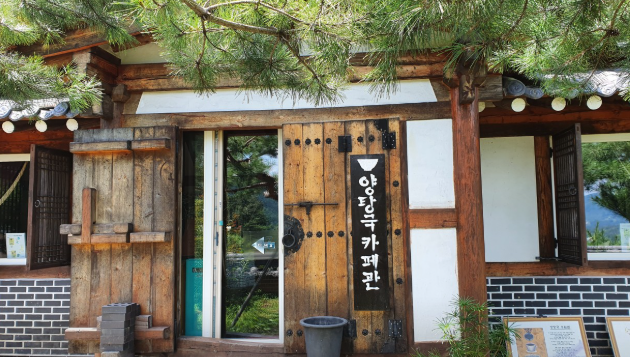 생생정보 하동