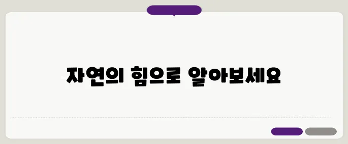관절염에 효과적인 음식 7가지 – 자연에서 찾는 치유의 힘