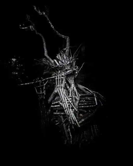 그로테스크-사진