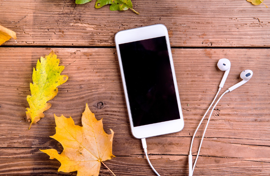 가을 단풍길에서 듣기 좋은 감성 플레이리스트